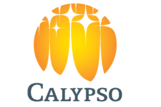 calypso water park logo