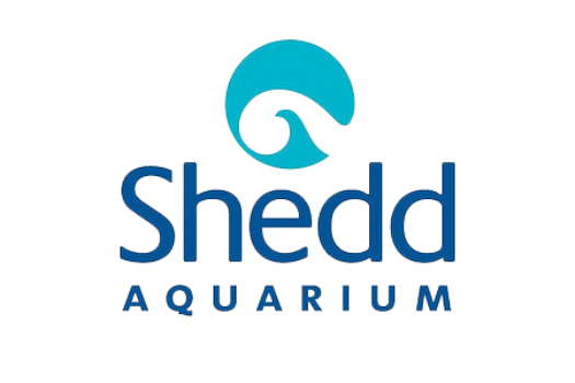 shedd aquarium